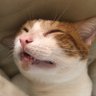 Victor's profile picture