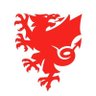 Hywel Trewyn 🏴 的头像