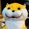 ウソ's profile picture