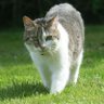 Profilbild von WT