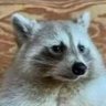 Vanero's profile picture