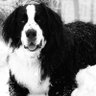 Keith profil fotoğrafı