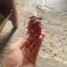 老先生 的头像