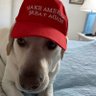 Фото профиля kims4Trump