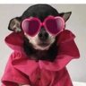 ๐ธ๐๐รบ's profile picture
