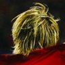 のくと's profile picture
