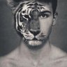Profilbild von 低语