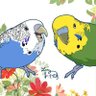 たんぽぽ(コロナストレス解消の鳥RT中)'s profile picture