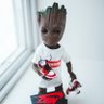 Фото профиля Local_boy UTD