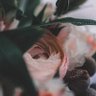 .'s profile picture