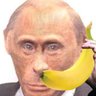 Pootin_Wants_Banana 的头像