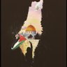 مصريون ضد التطبيع 🇵🇸🇪🇬 的头像