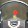 RedDot's profile picture
