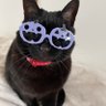 Profilbild von akiko