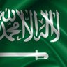 HS.Almasabbi's profile picture