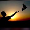 rehber profil fotoğrafı