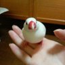 Фото профиля ひなこ