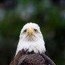 Domtop profil fotoğrafı