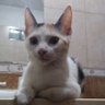 Natalia profil fotoğrafı