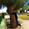 عبدالعزيز ناصر - رجل الحديقة profil fotoğrafı