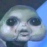 Mark Barnabas's profile picture