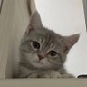 Profilbild von ...