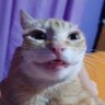 Kristopher profil fotoğrafı