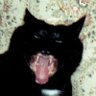 Andrew McVicker's profile picture