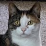 Sandy profil fotoğrafı
