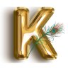 Krishnika's profile picture