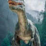 Alessandro Almeida's profile picture