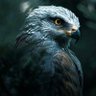 Hawkward Truths profil fotoğrafı