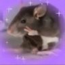 Acervo Best Memes's profile picture