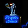 penguin profil fotoğrafı