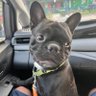 MBC's profile picture