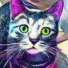SwiperTheCatFF🏈 profil fotoğrafı