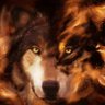 maddog lobo's profile picture