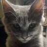 Chantal's profile picture