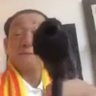 average_enjoyer 的头像