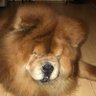 Jack Leung's profile picture