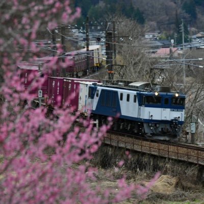 Akashi_tetsu225's profile picture