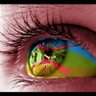 tanit profil fotoğrafı
