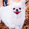 mayumi's profile picture