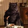 Kot Begemot's profile picture