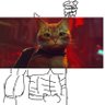 Фото профиля 猫がこう見えた人