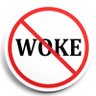 Fake News Detector's profile picture