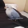 TITO profil fotoğrafı