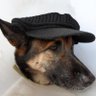 Profilbild von Zvone