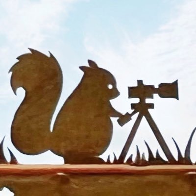 lito_staff's profile picture