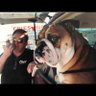 Bigdog 的头像